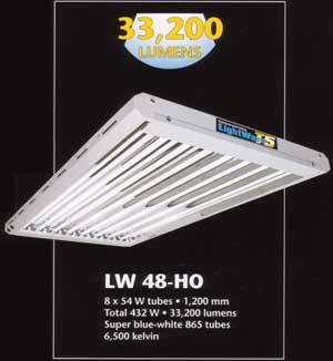T5 HO Light (8x4')