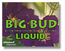 Big Bud