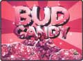 Bud Candy