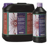 B'Cuzz Coco Bloom Stimulator B'Cuzz Coco Bloom Stimulator