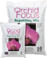 Orchid Focus Medium