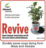 Revive