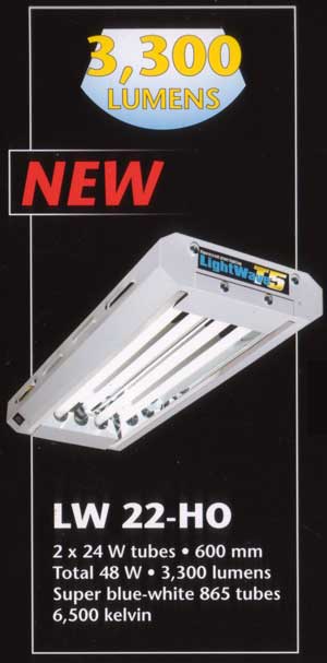 T5 HO Light (2x2')