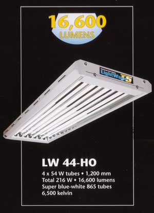 T5 HO Light (4x4')