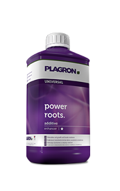 Power Roots