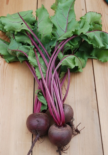 (image for) ORGANIC BEETROOT JANNIS
