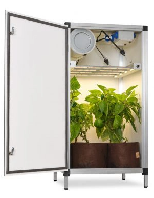 Bonanza Bench (0.35m2) w/170W LED (image for) Bonanza Bench (0.35m2) w/170W LED
