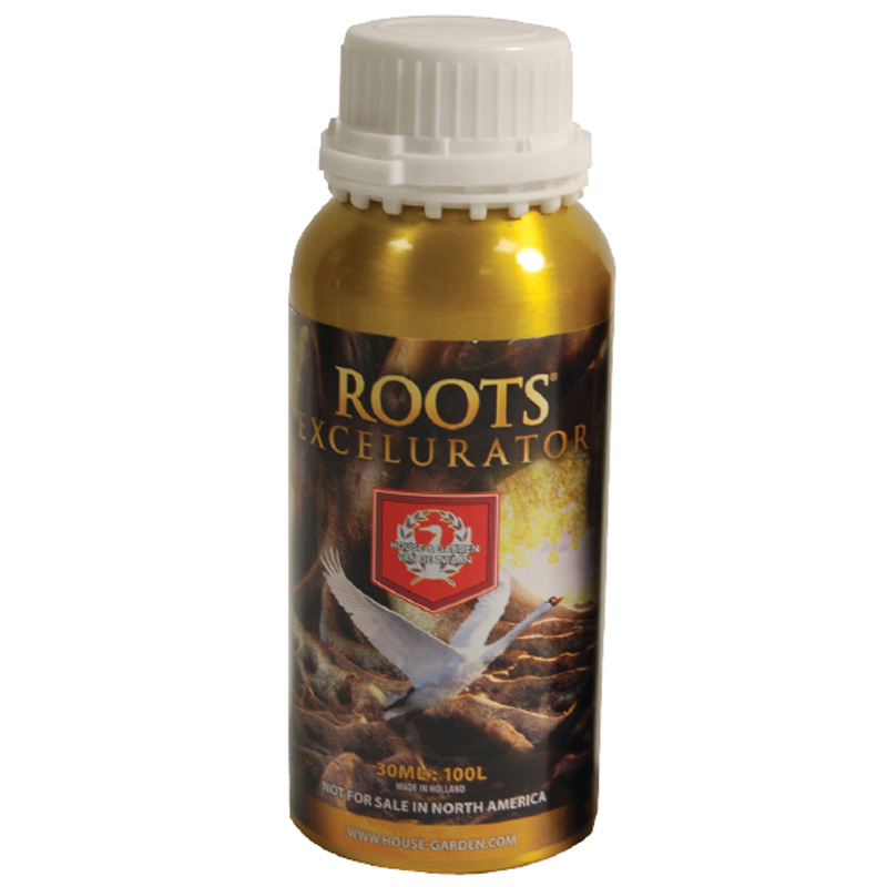 Roots Excelurator Gold