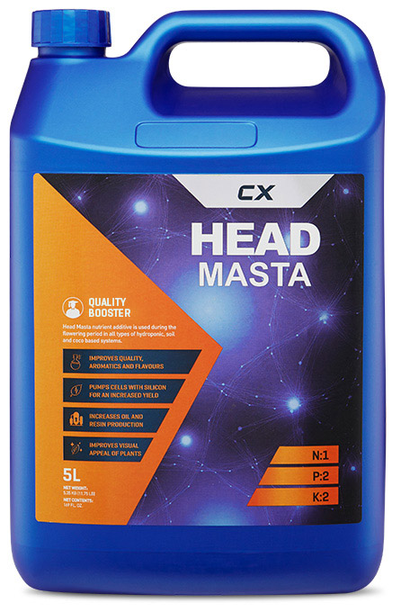 (image for) Head Masta