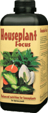 Houseplant Focus
