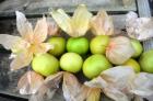 (image for) Tomatillo Verde