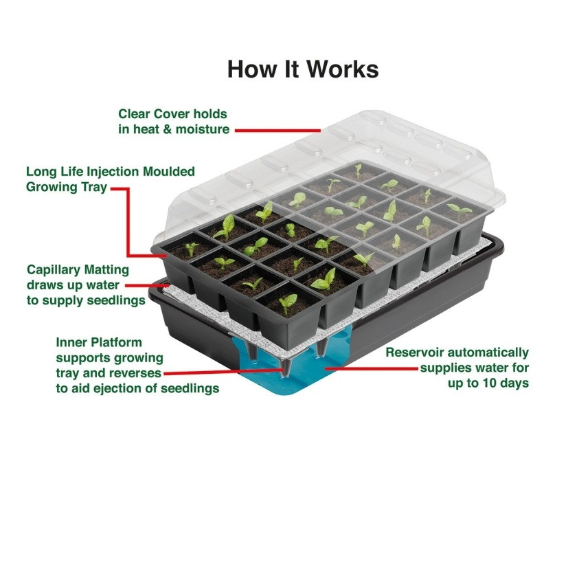 (image for) Ultimate Self Watering Propagator