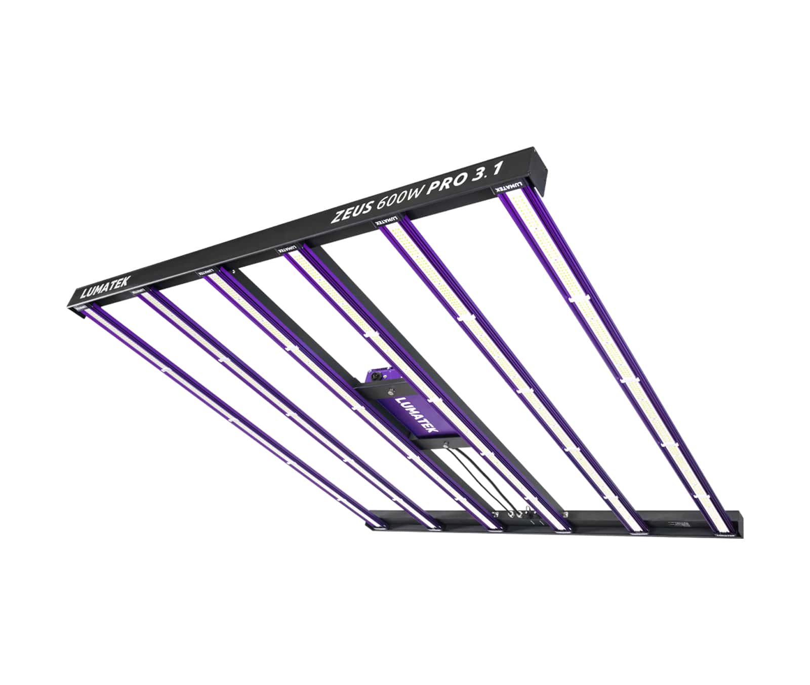 ZEUS 600W PRO 3.1 (image for) ZEUS 600W PRO 3.1