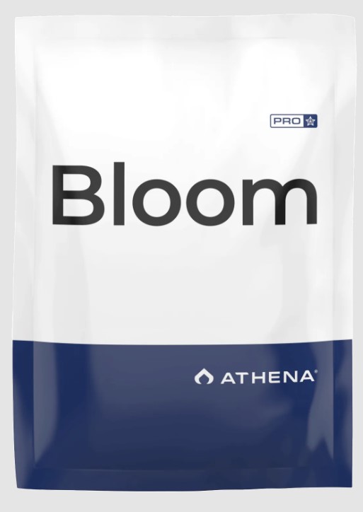 Athena Pro Line Bloom (image for) Athena Pro Line Bloom