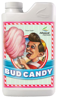 Bud Candy