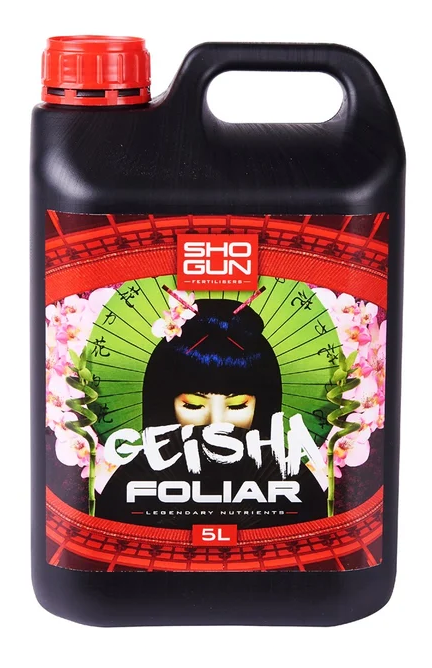 (image for) Geisha 5L