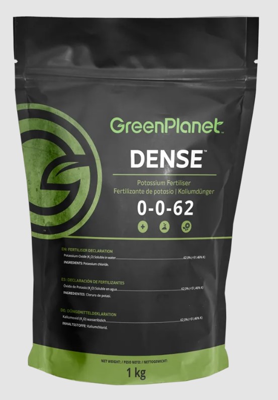 (image for) Dense