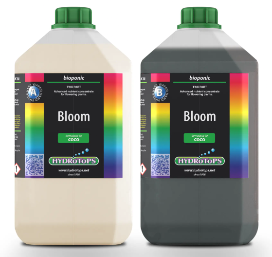 (image for) Coco Bloom A+B