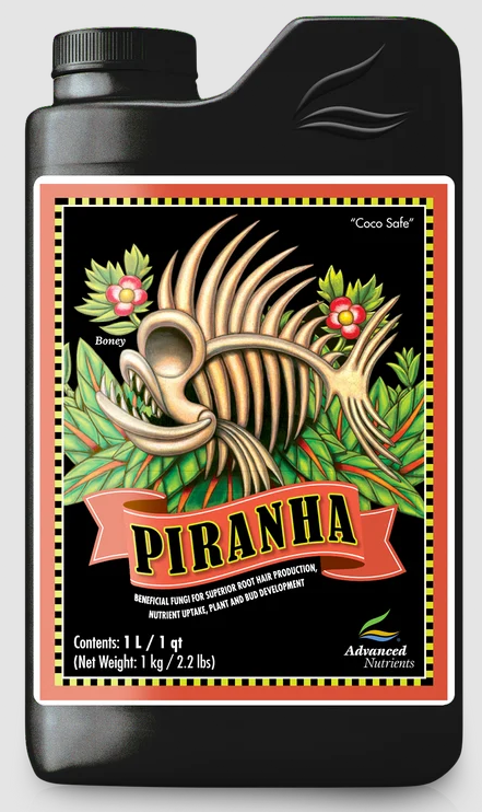 (image for) Piranha