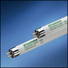 (image for) Sylvania T5 HO